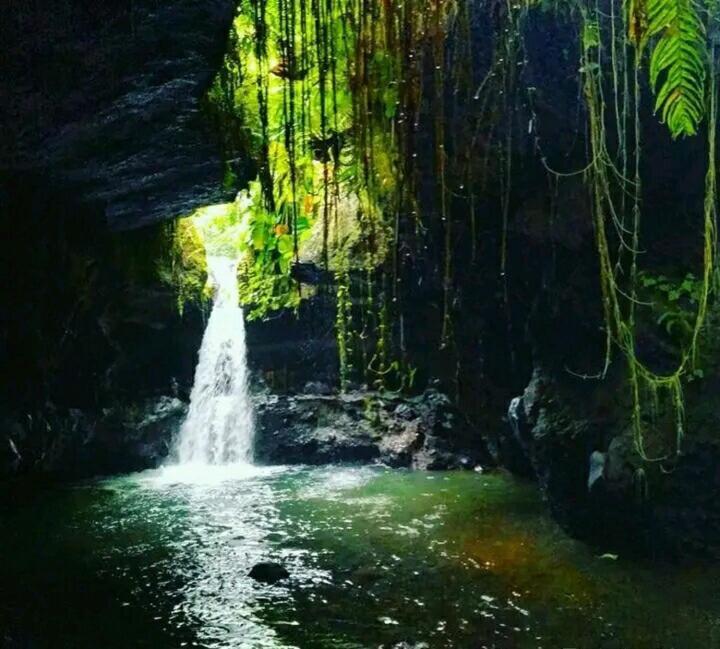 Asan Rinjani Homestay Tetebatu Luaran gambar
