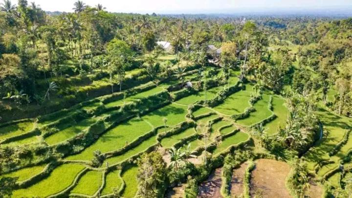 Asan Rinjani Homestay Tetebatu Luaran gambar