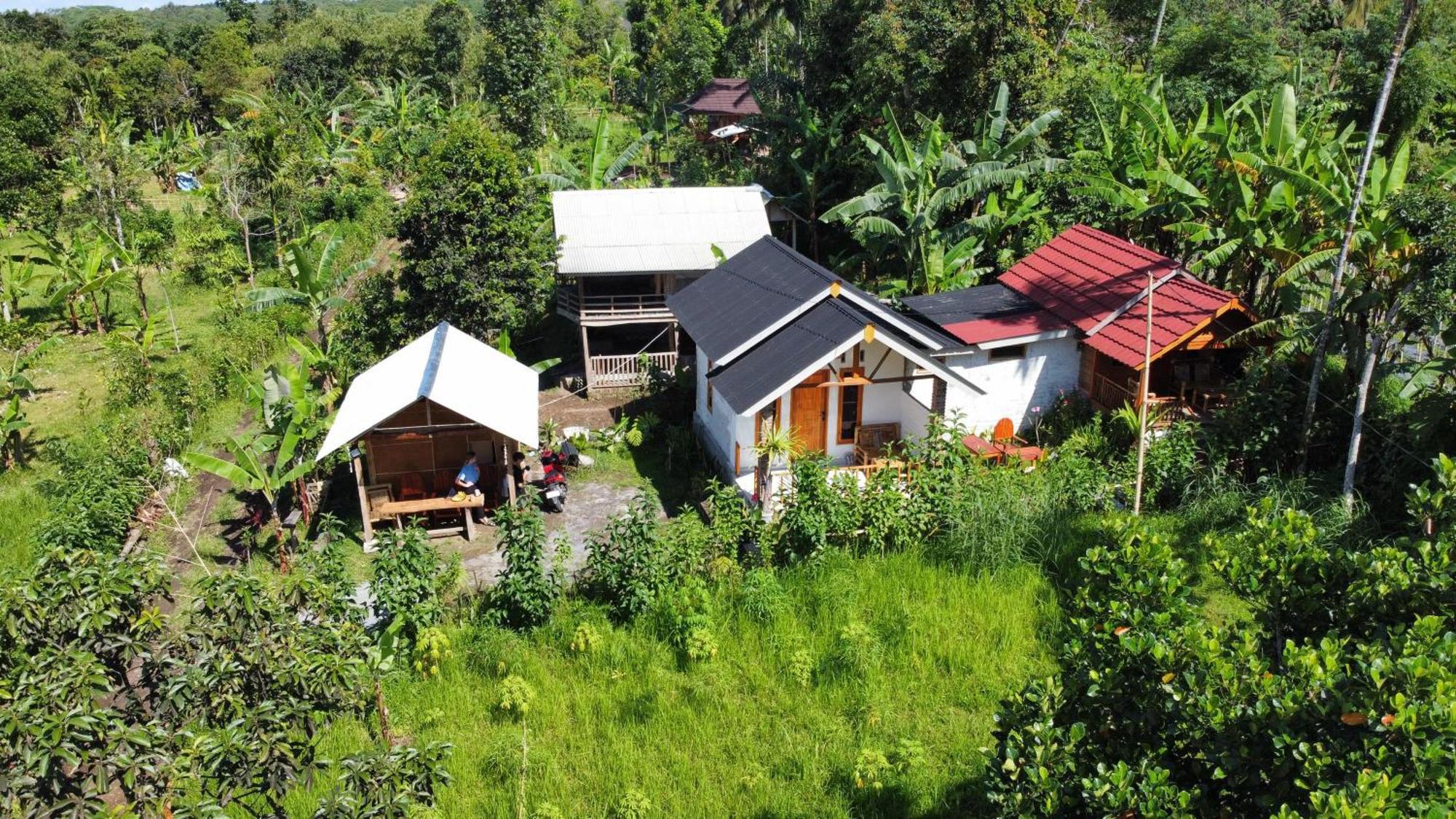 Asan Rinjani Homestay Tetebatu Bilik gambar